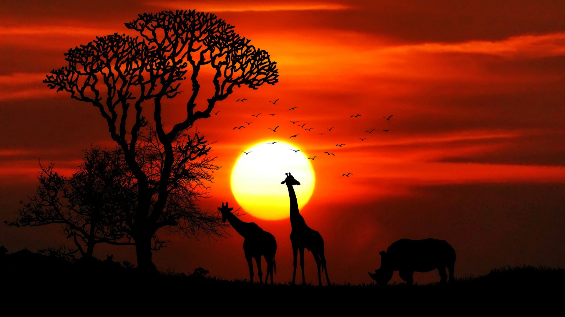 kenya cu insotitor de grup Circuit KENYA: Safari si relaxare pe plaja 10-21 August 2026