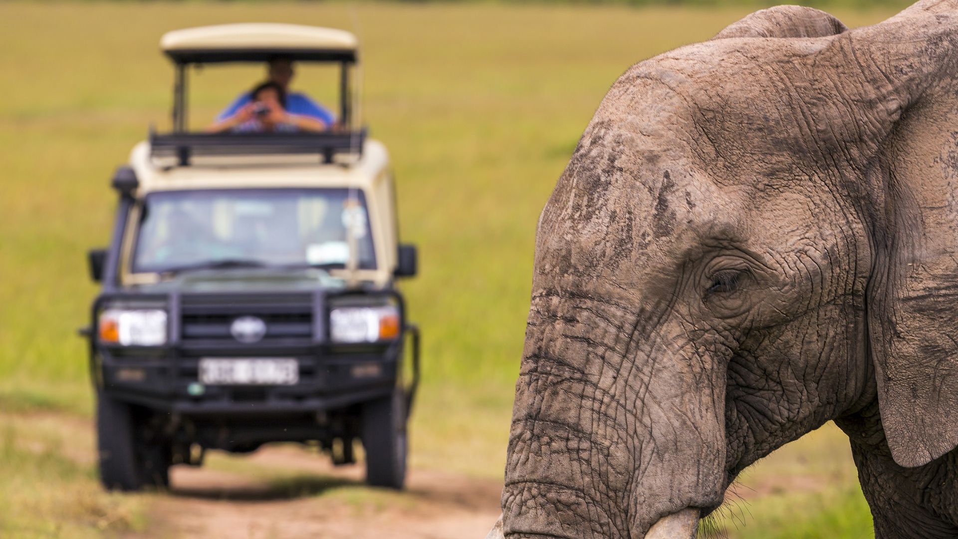 kenya cu insotitor de grup Circuit KENYA: Safari si relaxare pe plaja 10-21 August 2026