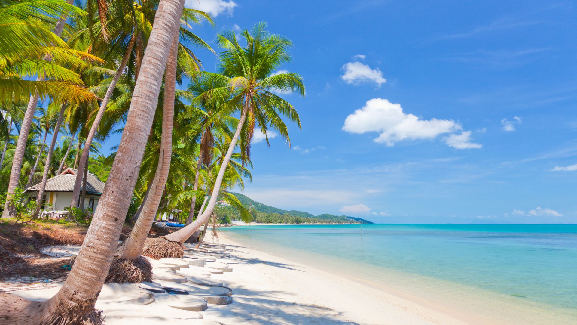 Circuit Thailanda: Bangkok si Koh Samui 23 August - 04 Septembrie 2026