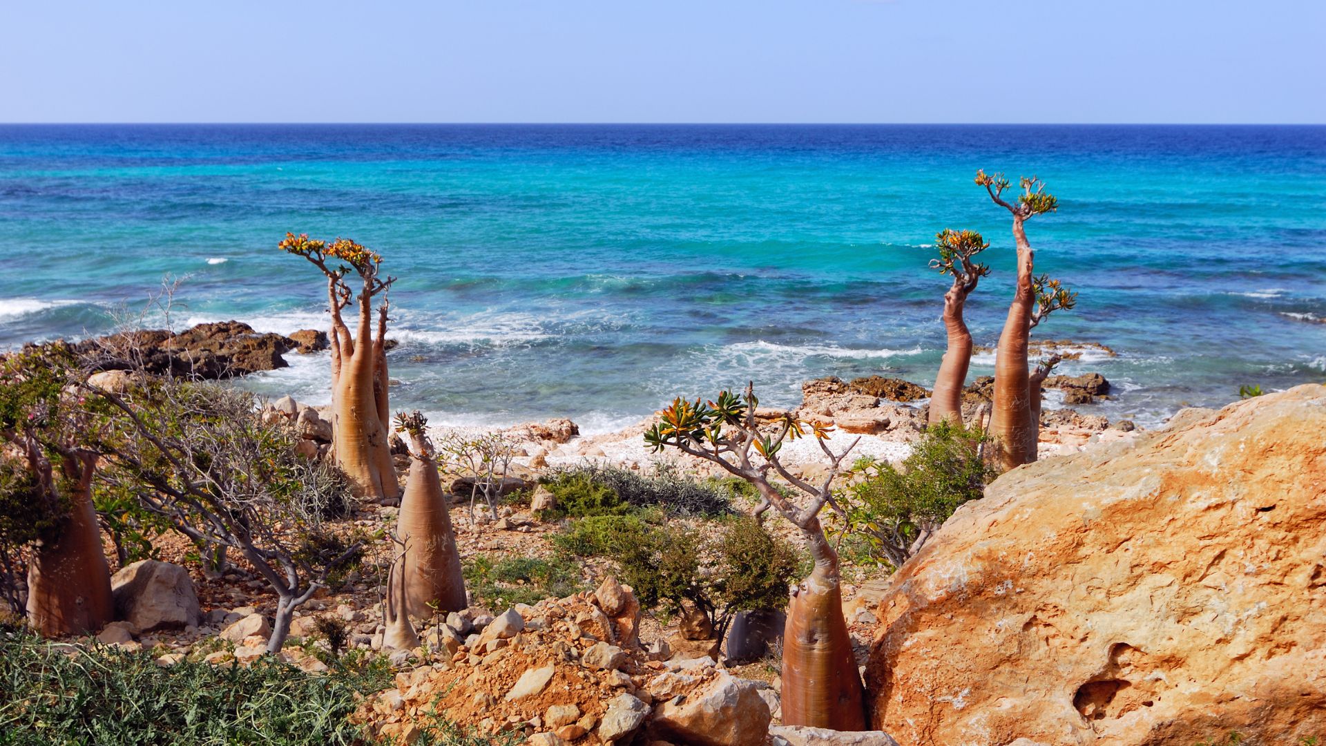 Socotra cu insotitor de grup (8) Circuit SOCOTRA: Experienta dincolo de cuvinte 17 - 26 Martie 2026