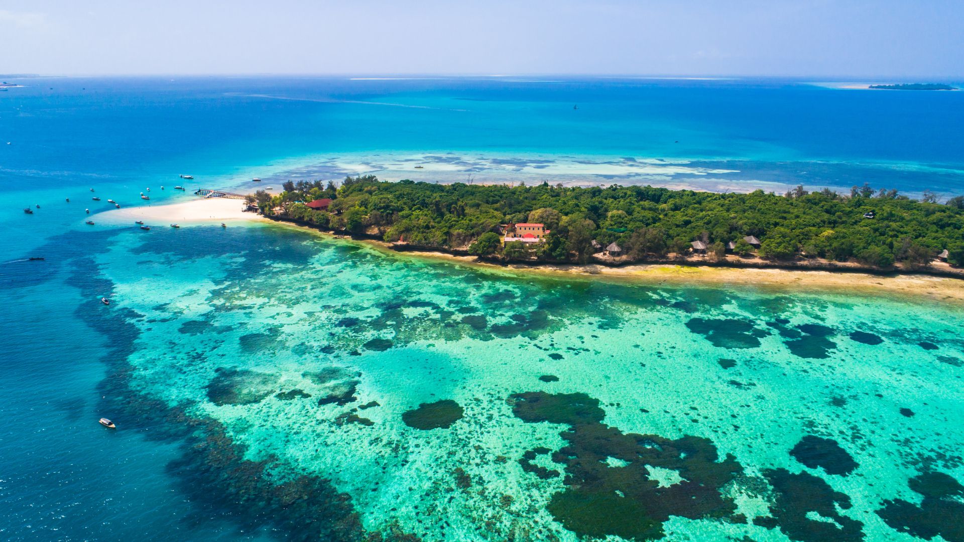 Circuit Tanzania: Safari African si Relaxare in Zanzibar 20 Iunie - 1 Iulie 2026