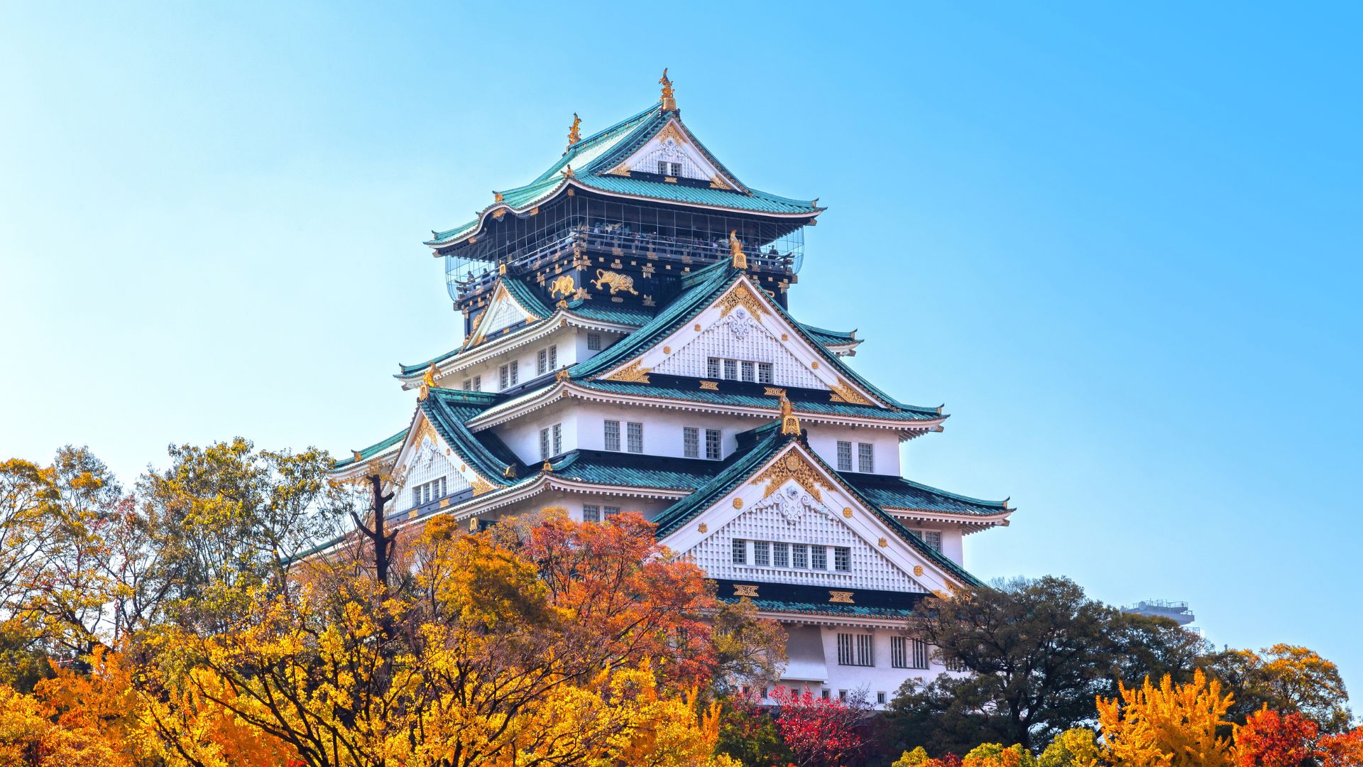 Circuit Japonia si Coreea de Sud (26) Circuit JAPONIA - COREEA DE SUD: Toamna Asiatica 30 Septembrie - 15 Octombrie 2026