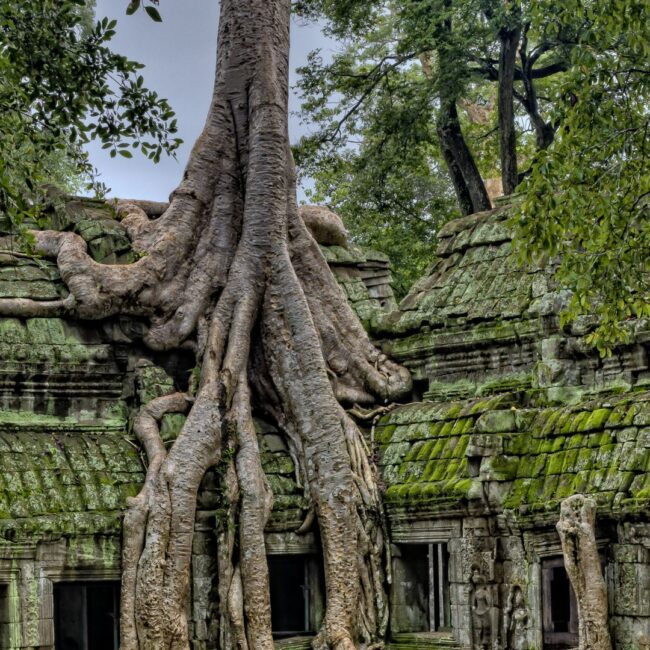 Circuit INDOCHINA: Vietnam Cambodgia Laos si Thailanda 17 Noiembrie – 5 Decembrie 2026